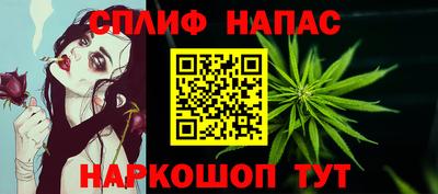 гашик Краснодар