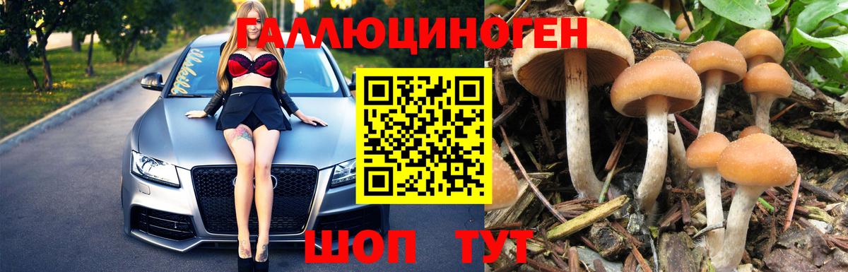 купить наркотики сайты  Вход с VPN  Электрогорск  Псилоцибиновые грибы Psilocybine cubensis 